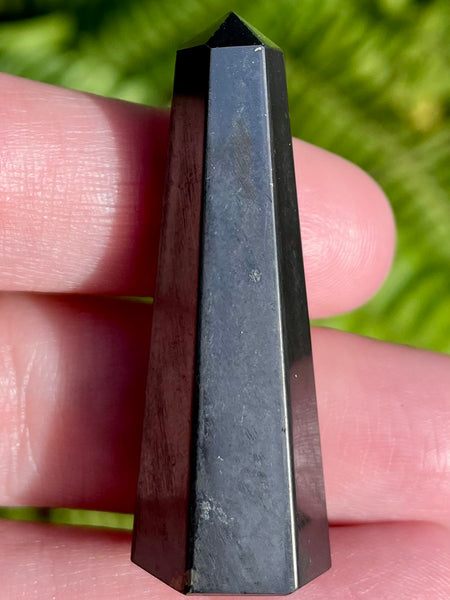 Shungite Point - Morganna’s Treasures 