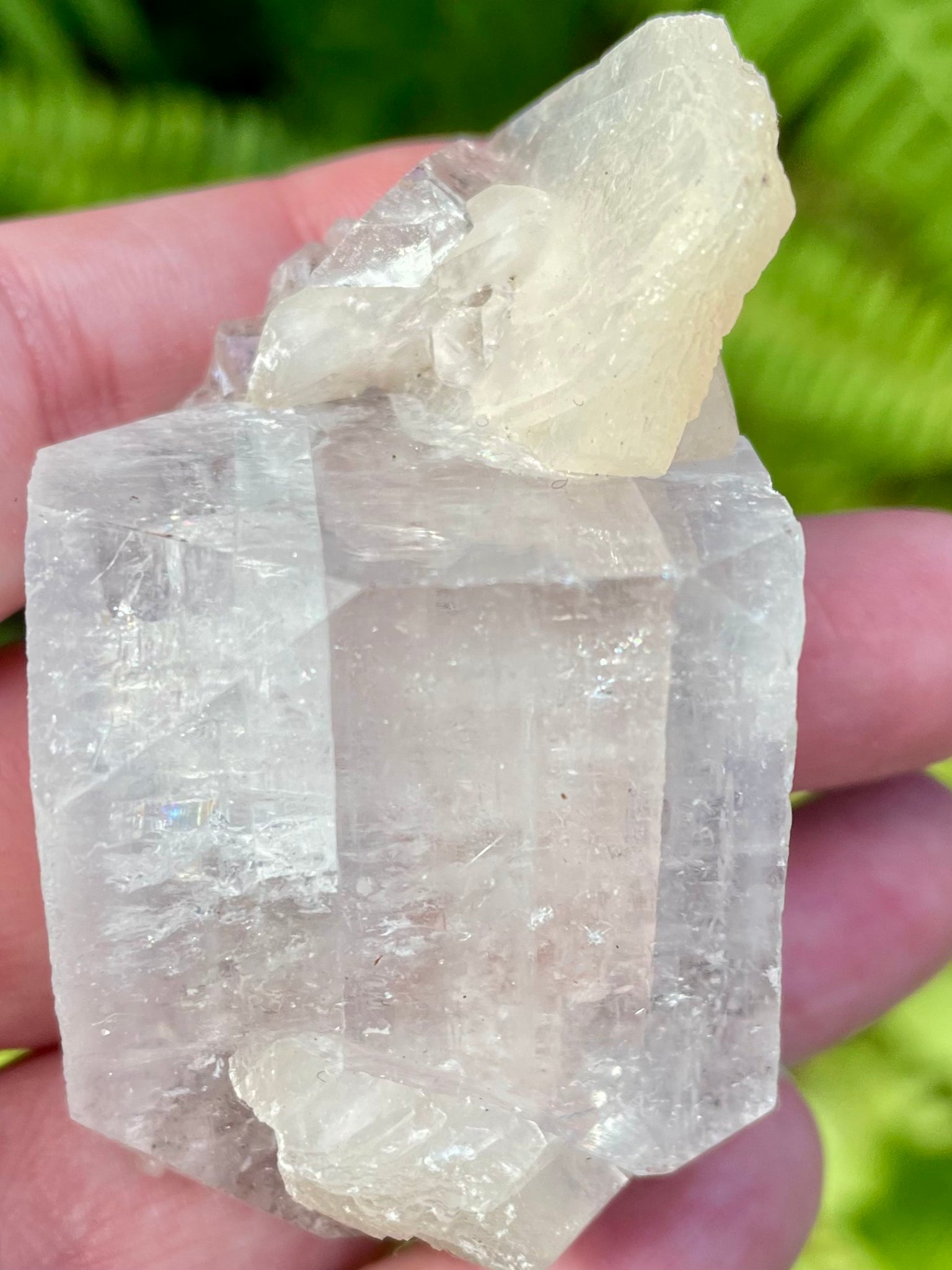 Apophyllite Cluster - Morganna’s Treasures 