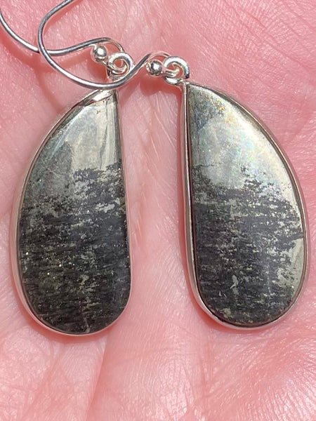 Pyrite in Magnetite (Healer's Gold) Earrings - Morganna’s Treasures