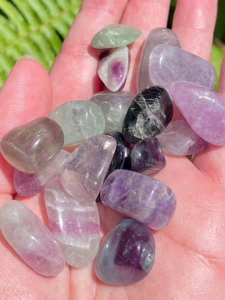 Small Rainbow Fluorite Tumbled Stones - Morganna’s Treasures 