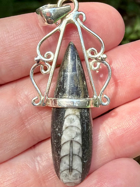 Gorgeous Orthoceras Fossil Pendant