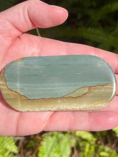 Succor Creek Picture Jasper Palm Stone - Morganna’s Treasures