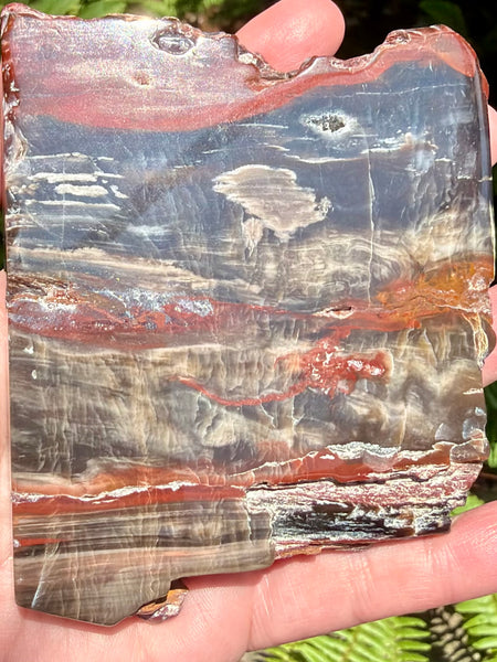 Gorgeous Cherry Creek Jasper Plate