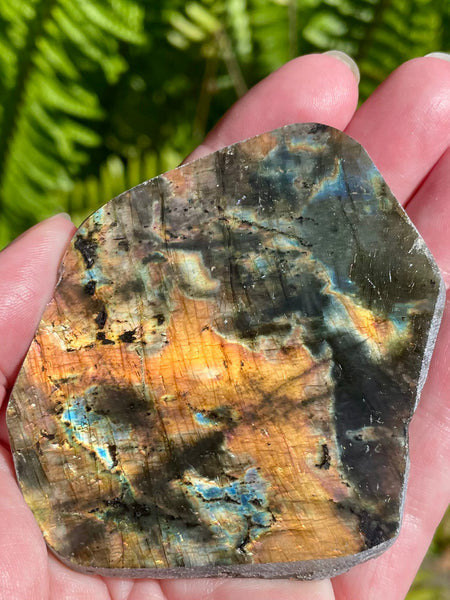 Gorgeous Labradorite Slab - Morganna’s Treasures 