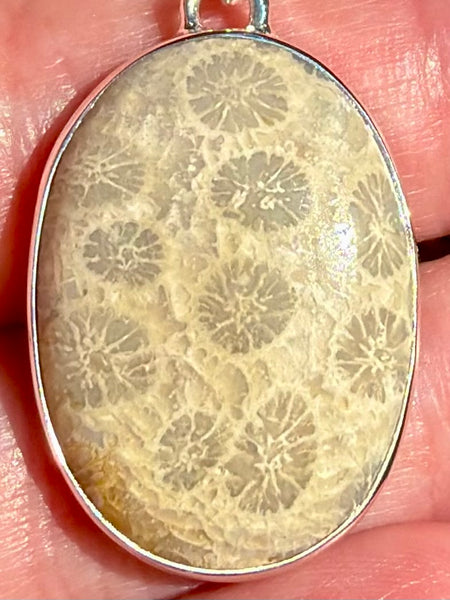 Fossil Coral Pendant
