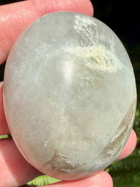 Garniérite Palm Stone