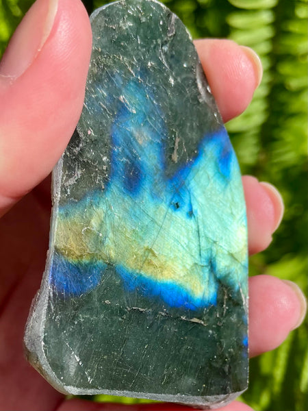 Gorgeous Labradorite Slab - Morganna’s Treasures 