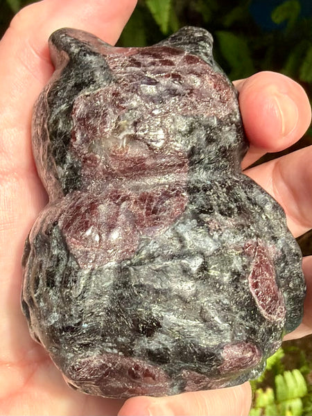 Large Garnet in Arfvedsonite Owl