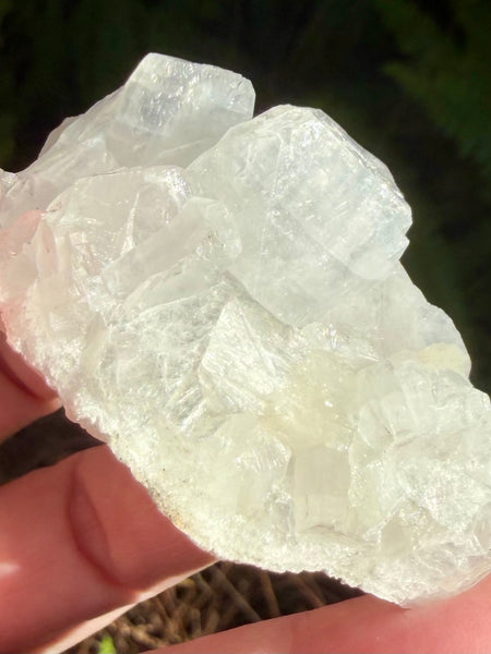 Apophyllite Cluster - Morganna’s Treasures