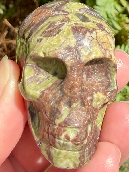Money Agate Skull - Morganna’s Treasures
