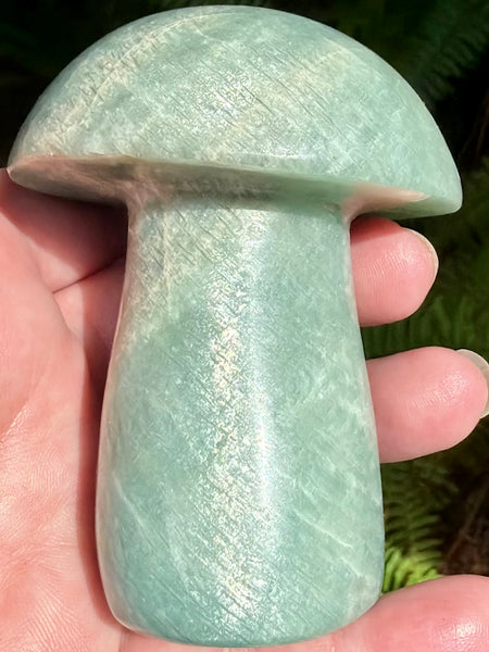 Stunning Amazonite Mushroom - Morganna’s Treasures