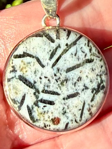 Hornblende Pendant - Morganna’s Treasures