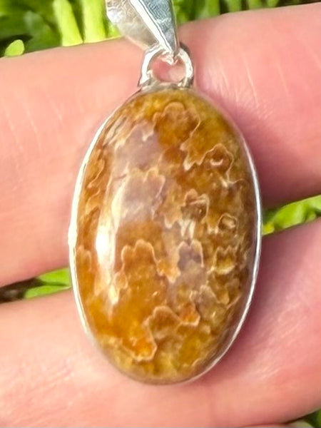 Sutured Ammonite Pendant - Morganna’s Treasures