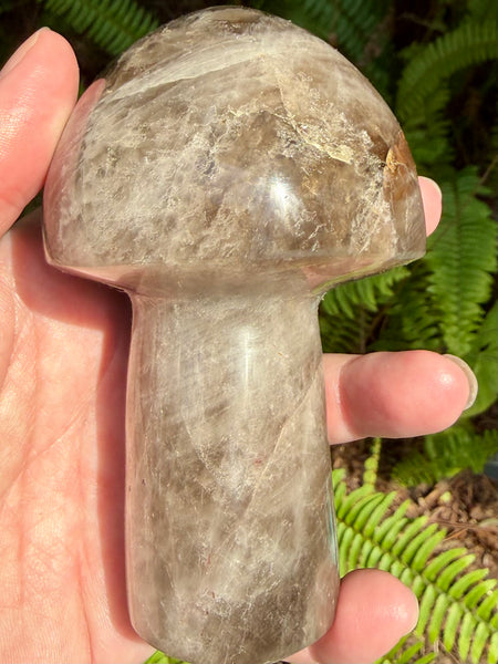 Gorgeous Smoky Quartz Mushroom - Morganna’s Treasures