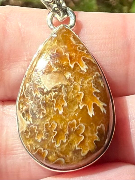 Sutured Ammonite Pendant - Morganna’s Treasures