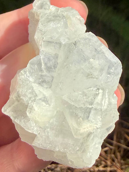 Apophyllite Cluster - Morganna’s Treasures