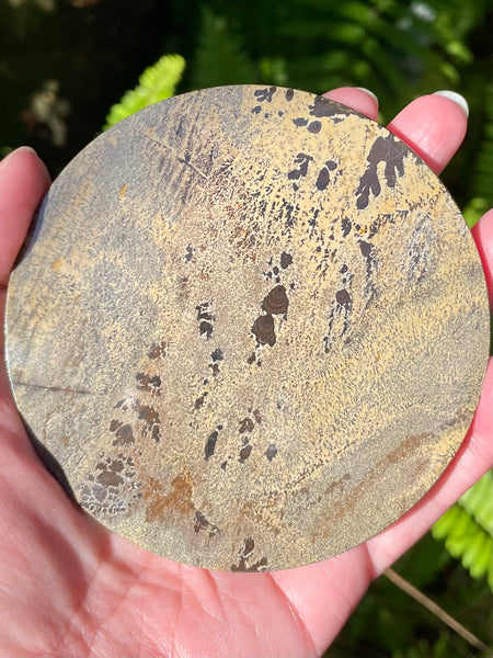 Picture Jasper Charging Plate