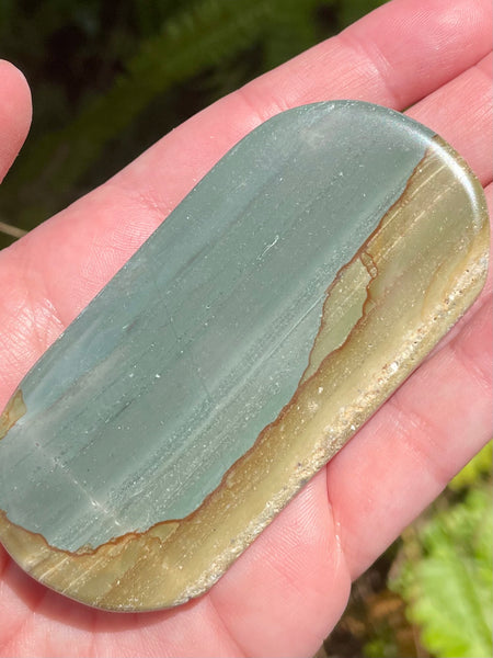 Succor Creek Picture Jasper Palm Stone - Morganna’s Treasures