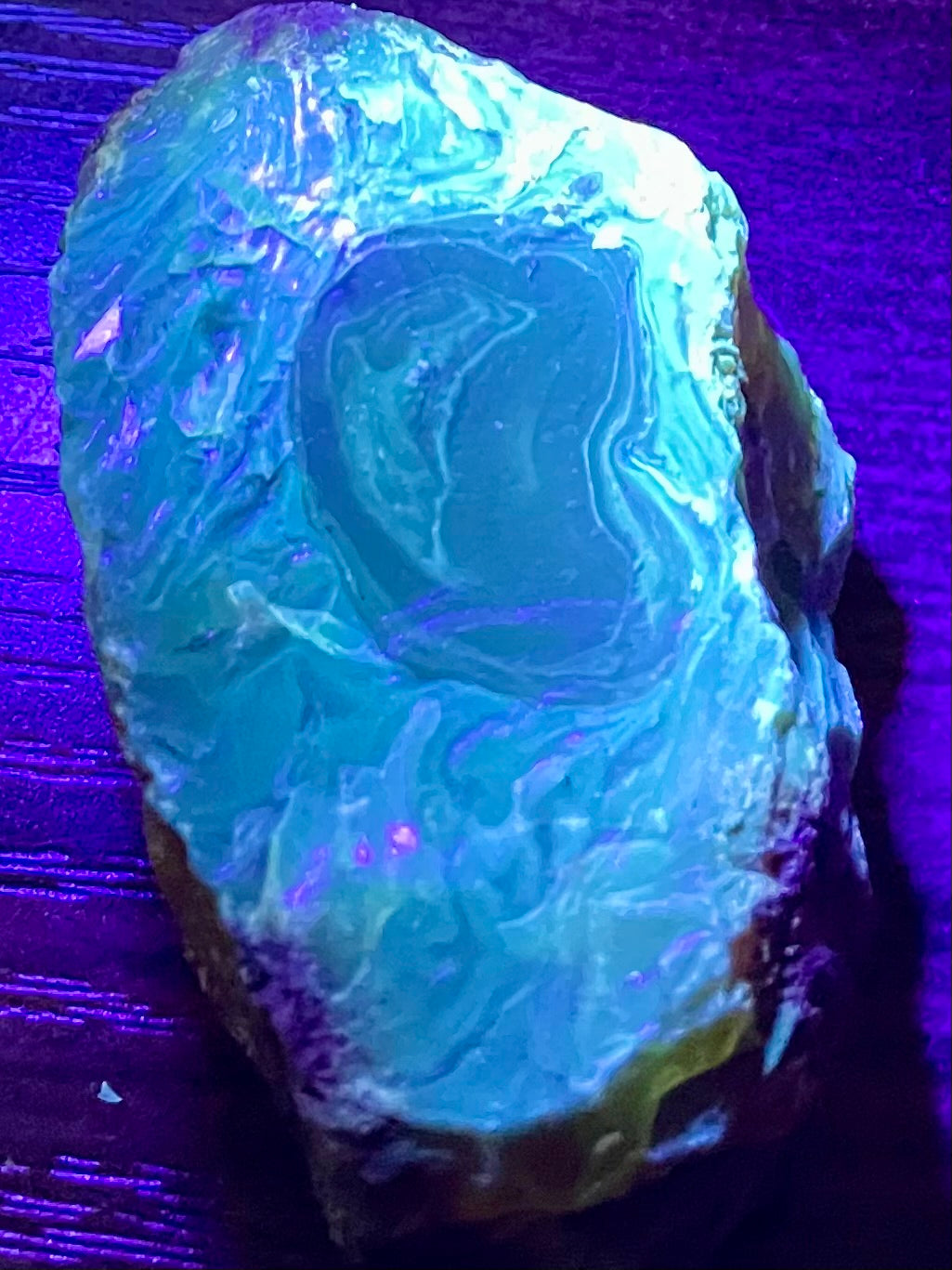 Fluorescent Blue Amber Palm Stone - Morganna’s Treasures 