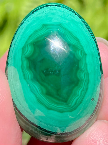 Beautiful Malachite Egg - Morganna’s Treasures