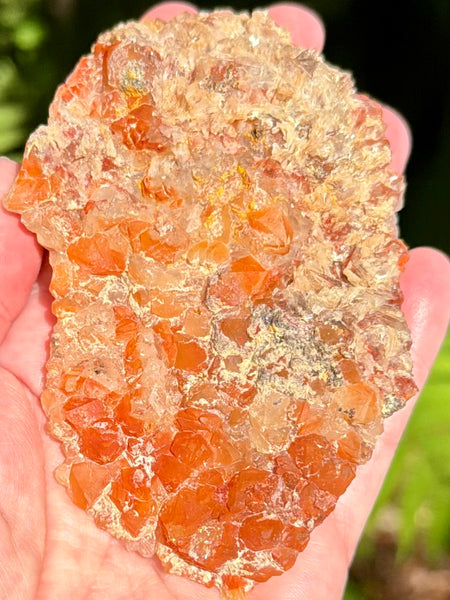 Beautiful Quartz with Hematite Inclusions Cluster