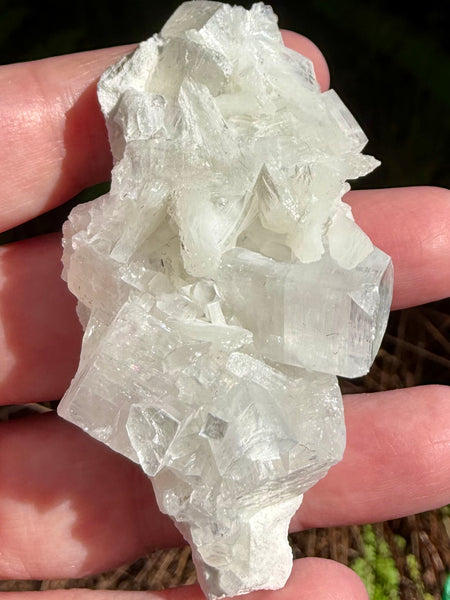 Apophyllite with Stilbite Crystal Cluster - Morganna’s Treasures