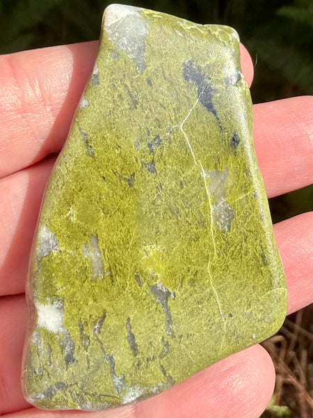 Epidote Palm Stone - Morganna’s Treasures