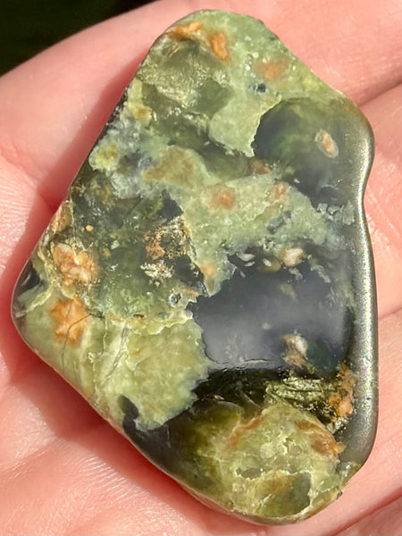 Rainforest Jasper Palm Stone