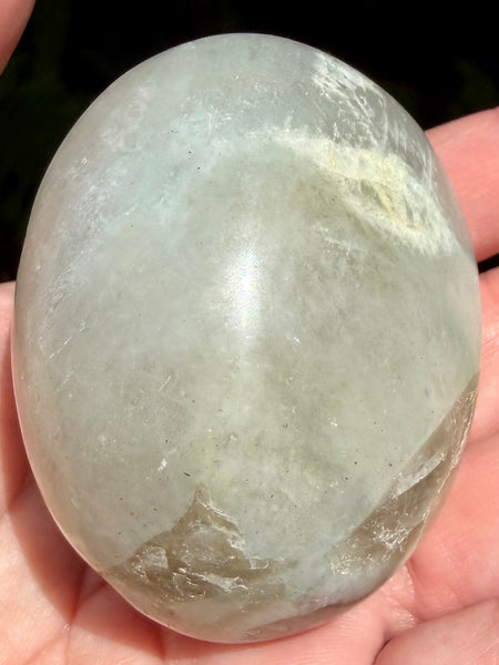 Garniérite Palm Stone