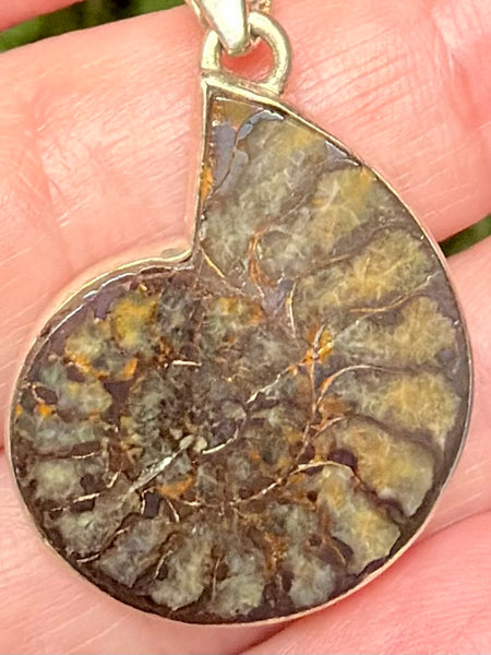 Fossil Quenstedtoceras Pyrite Ammonite Pendant