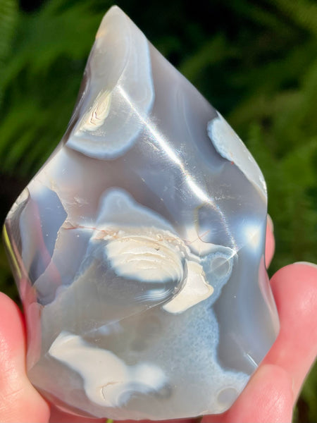 Orca Agate Flame - Morganna’s Treasures