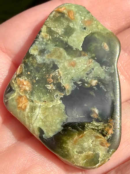 Rainforest Jasper Palm Stone
