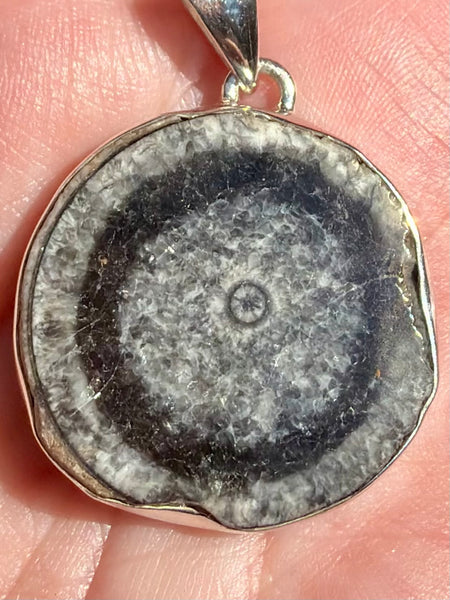 Black Horn Coral Pendant
