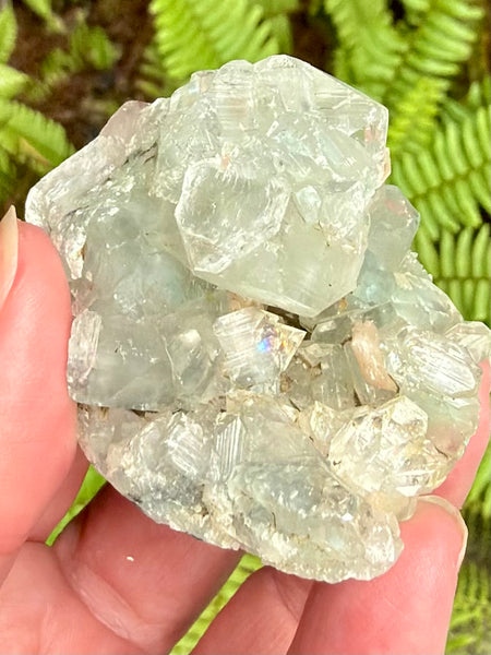 Apophyllite Cluster