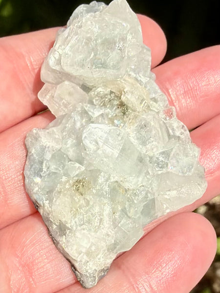 Apophyllite Cluster