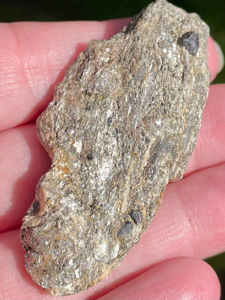 Beautiful Garnet with Mica Schist Palm Stone - Morganna’s Treasures