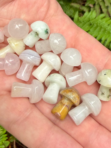 Intuitively Chosen Small Crystal Mushroom
