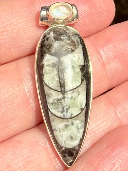 Gorgeous Orthoceras Fossil and Rainbow Moonstone Pendant - Morganna’s Treasures