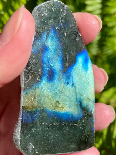 Gorgeous Labradorite Slab - Morganna’s Treasures 