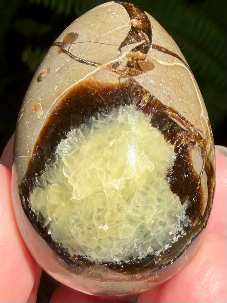 Septarian (Dragon Stone) Egg - Morganna’s Treasures