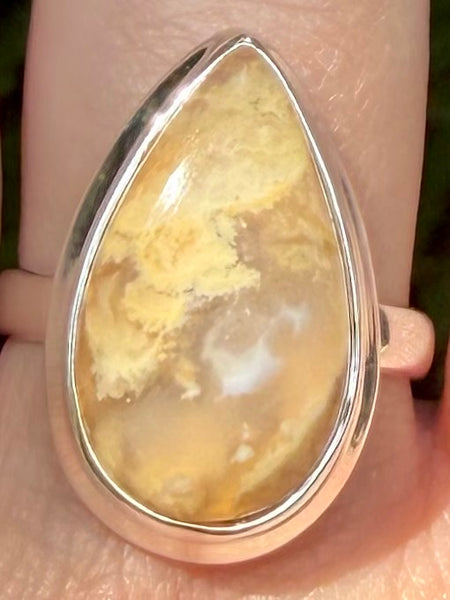 Graveyard Plume Agate Ring Size 10