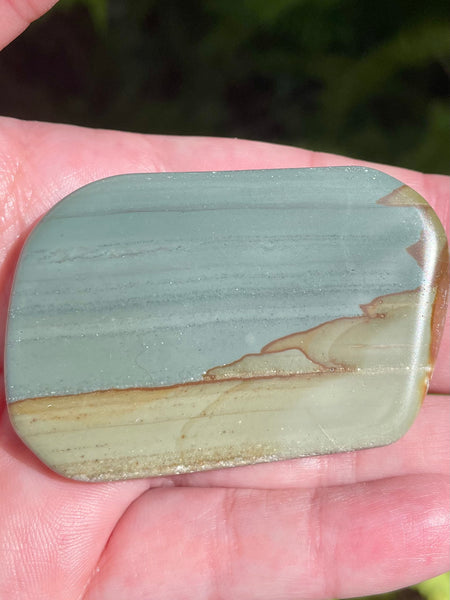 Succor Creek Picture Jasper Palm Stone - Morganna’s Treasures