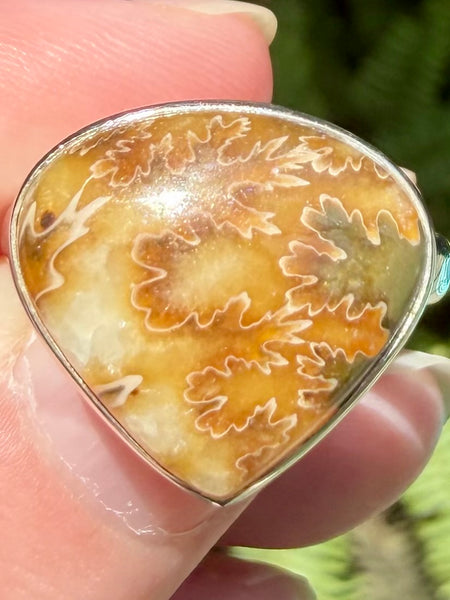 Beautiful Sutured Ammonite Ring Size 7