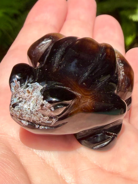 Botswana Agate Frog - Morganna’s Treasures