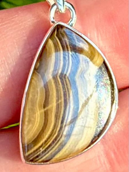 Schalenblende Pendant - Morganna’s Treasures