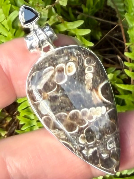 Turritella Agate and Black Onyx Pendant - Morganna’s Treasures