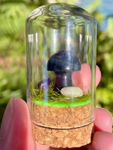 Fluorite Mushroom Terrarium