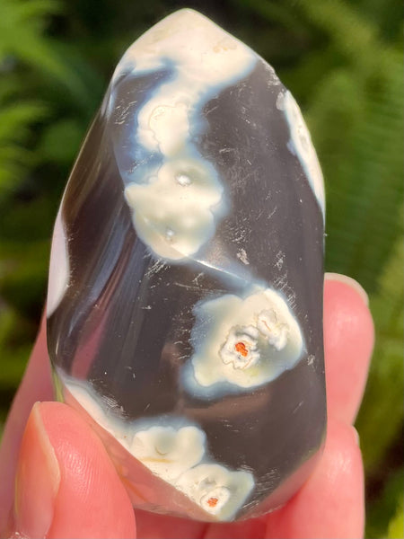 Orca Agate Flame - Morganna’s Treasures