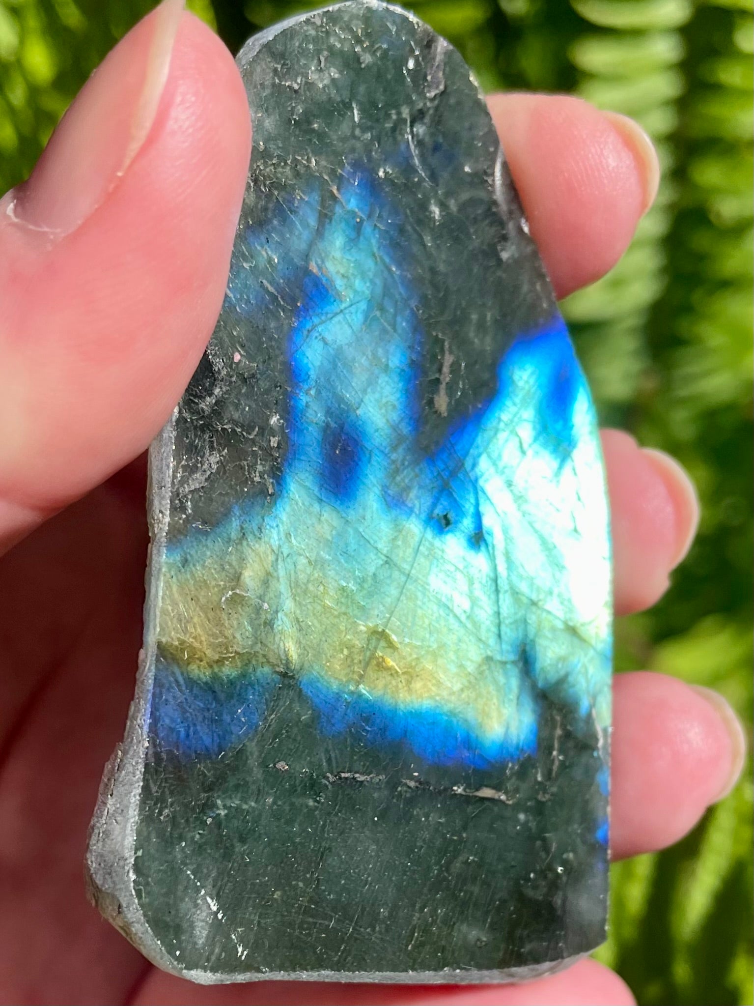 Gorgeous Labradorite Slab - Morganna’s Treasures 