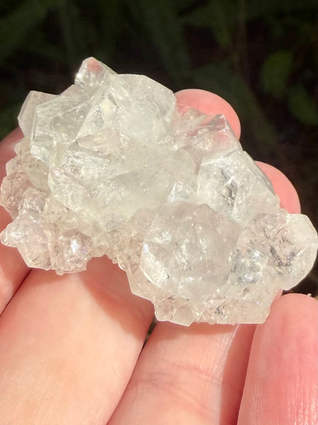 Apophyllite Cluster - Morganna’s Treasures